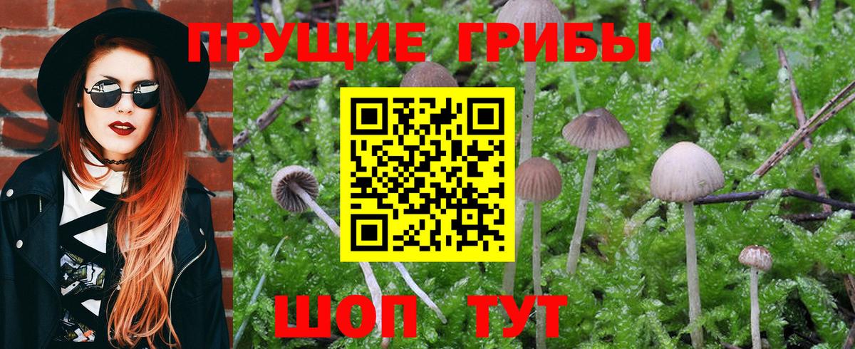 Галлюциногенные грибы Magic Shrooms Холмск