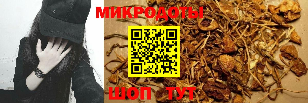 закладка  Вход с VPN  Холмск  Галлюциногенные грибы MAGIC MUSHROOMS 